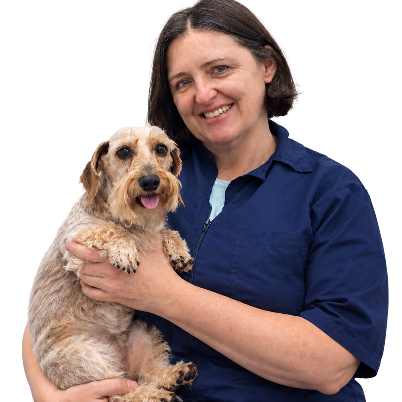 Dog with itchy skin during an allergy consultation at Citivet Bothasig and Monte Vista
